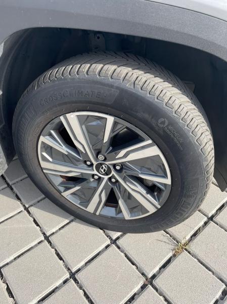Auto noleggio o vendita
